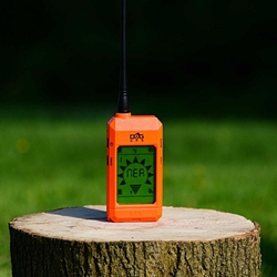 Suchgerät DOG GPS X20 orange