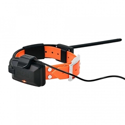 DOG GPS X30T- Halsband für einen anderen Hund - orange