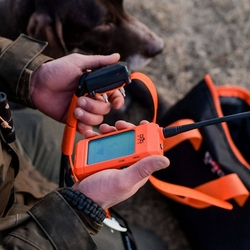 DOG GPS X30T- Halsband für einen anderen Hund - orange
