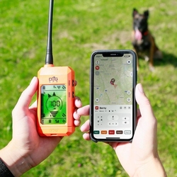 DOG GPS X30T- Halsband für einen anderen Hund - orange